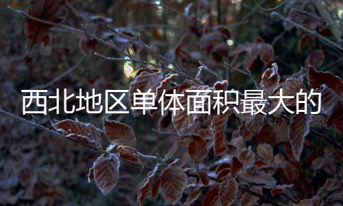 最大筑陕中二地区单体的医西北项目面积疗建附院竣工