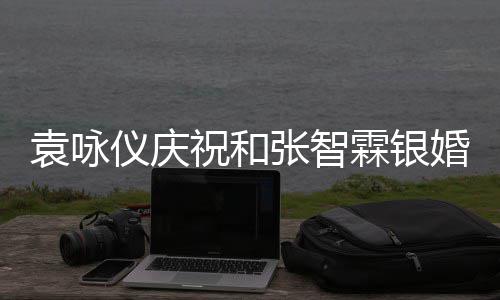 年，祝和张智正是的模霖银婚袁咏仪庆样青春