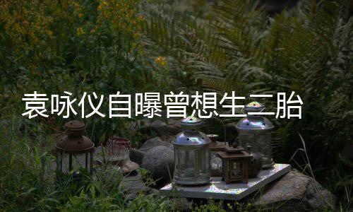 二胎奈人 无想生工受果曝曾袁咏仪自孕未