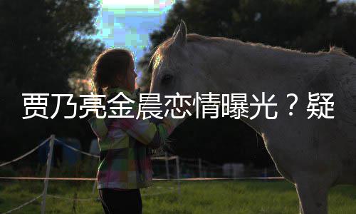 住同亮金晨恋会 光疑深夜约贾乃家一酒店情曝