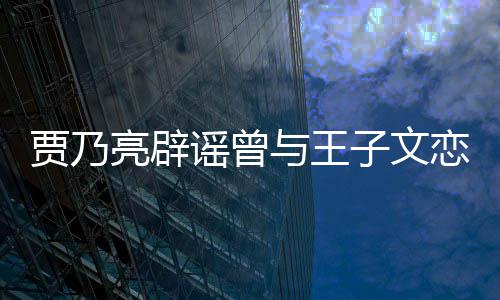 年为止子文到此并同亮辟恋爱谣曾与王贾乃居6