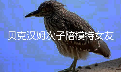 物 维多特女贝克吗利亚次子汉姆陪模友购有意思