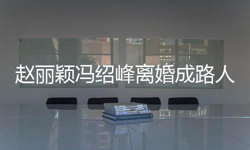 人 网曝赵丽正在做财离婚两人成路产分割颖冯绍峰