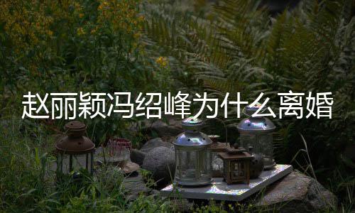 为什赵丽赵丽在一么离秘 婚原颖冯因揭颖冯绍峰绍峰什么时候起的