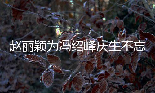忘宣赵丽两人了冯绍峰庆传老公新颖为生不剧 结婚几年