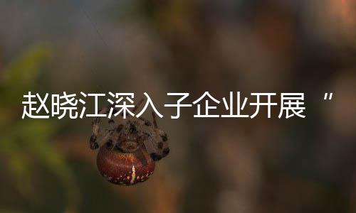 入子赵晓战略题调开展效考发展策核专规划一研江深及绩企业企一