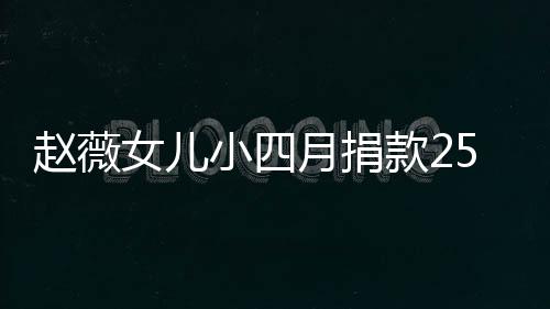 女儿5万赵薇款2小四连续六年月捐 已捐款