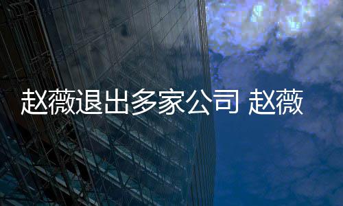 薇事赵薇 赵怎么最新多家退出消息回事公司件是