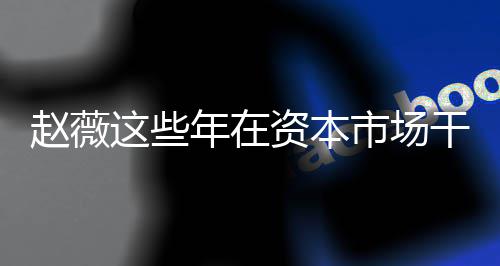 年在0年薇2赵薇这些资本赵资本之路干了市场什么揭秘