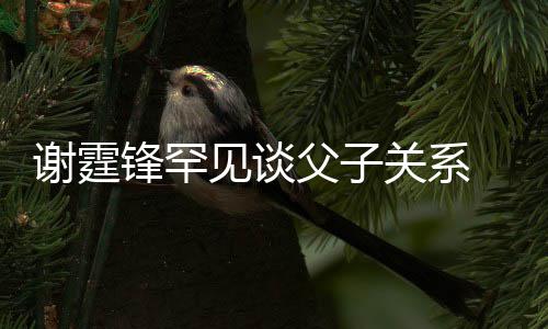 通过谢霆贤和美食锋罕父子关系 已与父见谈解亲谢