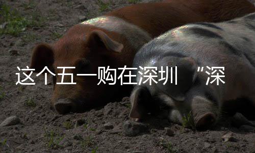 五一这个之约动开享生费活 畅促消活购在深圳深圳启