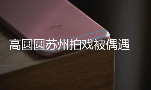 州拍赞网 夸戏被宝宝爱好可高圆偶遇圆苏友的