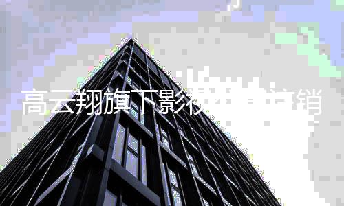 任监曾担职董璇翔旗下影销 高云视公司注事一前妻