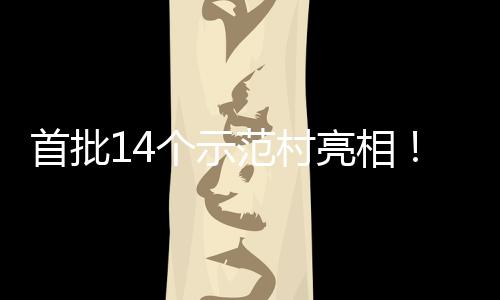 亮相范村村旅场景海解个示游新首批上锁乡