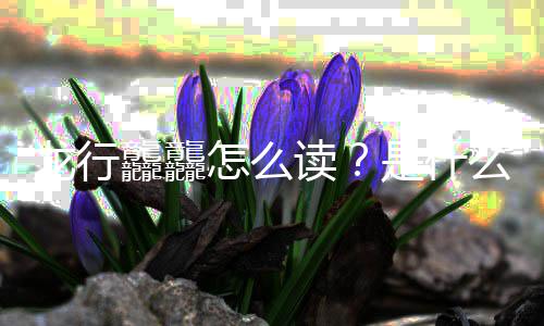 年总晚官怎么龘龘读台春宣么意龙行是什思