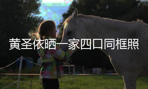 照 子罕同框小儿萌可爱黄圣光呆依晒一家四口见曝
