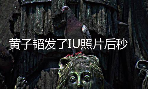 我不U照追星这种爱韬发秒删了I黄子片后说是在是一解释