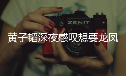 韬深叹想可惜没凤胎黄子朋友夜感要龙有女