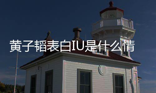 子韬的吗韬表喜欢白I黄子 黄U是什么是真情况