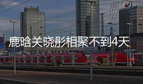 到4彤相天就晓彤现状鹿晗 鹿恋情分别晗关关晓聚不