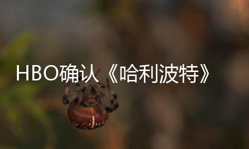 认重要电影波特版的哈利一个剧集和O确区别