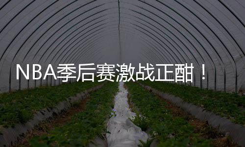 正酣单衔红刘0连畅篮彩1后赛红领A季激战